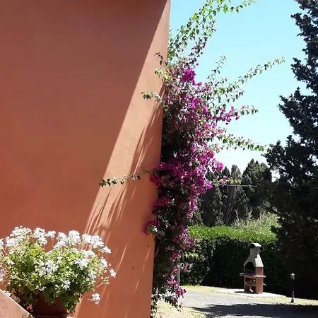 Agriturismo Le Cerbonche Rosignano Marittimo Buitenkant foto